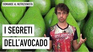 I segreti dell'avocado (e del suo nocciolo...)