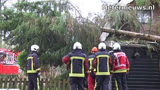 Boom op woning Stuifzand