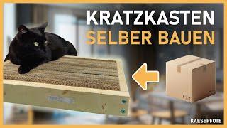 DIY Kratzkasten aus Kartons - Katzenspielzeug für Sparfüchse!