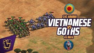 1v1 Arabia | Vietnamese vs Goths | vs Hera