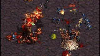 CHAAAARGE! Light!  (T) vs Queen!  (Z) on Polypoid - StarCraft - Brood War