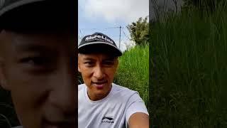 Running everyday in 2024, day 121. #vlogs #shorts #video