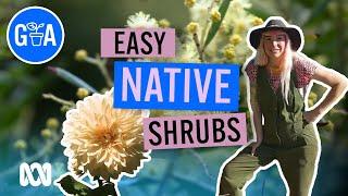 Native Shrubs for Small Spaces | Australian Native Plants | Gardening Australia