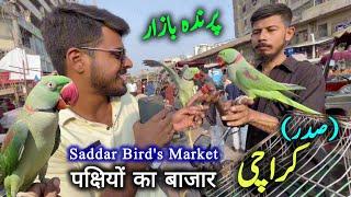 Exotic Parrots and Birds Market Sadar Karachi 2024 Latest Update in Urdu Hindi Ep-46 | Sunday Bazaar