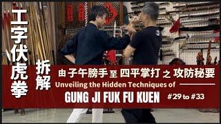 Unveiling the Hidden Techniques of Gung Ji Fuk Fu Kuen #29 to #33 拆解工字伏虎拳 由 子午膀手 至 四平掌打之 攻防秘要