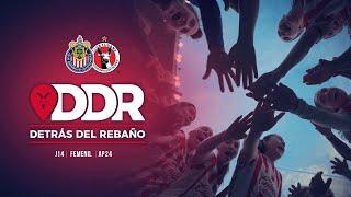 ¡Chivas Femenil goleó a Xolas! | Detrás del Rebaño | Apertura 2024