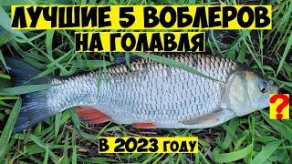 ТОП 5 Лучшие ВОБЛЕРЫ на ГОЛАВЛЯ в 2023 году! Ловля Голавля на Спиннинг! Рыбалка на голавля! Голавль