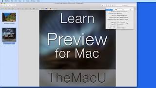 Mac Tutorial: Resize Image Files with the Preview App