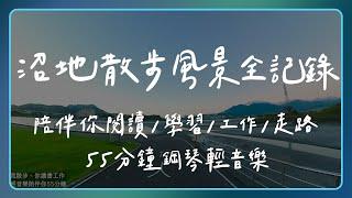 【閱讀與工作的專注用音樂】沼地散步風景全記錄│鋼琴慢節奏輕音樂，陪伴你閱讀、學習、工作，50分鐘幫助你專注當下