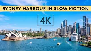 Relaxing Sydney Harbour Views - 1 Hour of Calm Music and Scenic Beauty