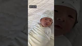 [생후 13일] 속싸개 하는 방법 완전히 마스터했어요 / Perfectly swaddle my baby ️