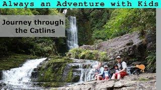 Journey Through The Catlins | New Zealand South Island with Kids S2 Ep9