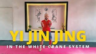 Understanding San Zhan: The White Crane Kung Fu Yi Jin Jing Process