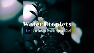 Water Droplets Photography Preset | Mobile Lightroom Preset DNG Free Download | Water Droplets