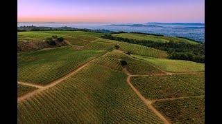 Sonoma County Wine Overview