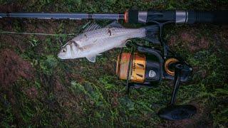 lure fishing Devon Cliffs Exmouth for bass