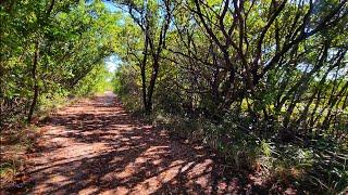 4K Crandon Park Nature Trail , Fall Cycling Virtual Travel Tour , Miami Florida , November 2024