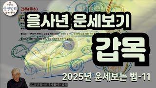 2025년 을사년 운세풀이   갑목