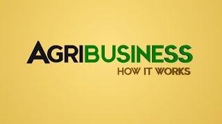 AGRIBUSINESS HOW IT WORKS. Instruct. Inspire. Succeed.