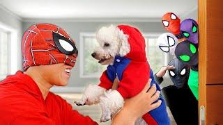 Bros 6 SuperHeroes vs NEW Puppy in SpiderMan House !!