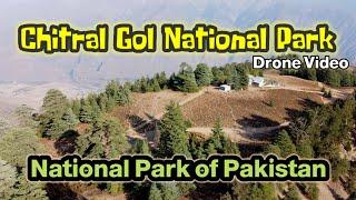 Chitral Gol National Park | National Park of Pakistan Chitral Natioanl Park | True Colors