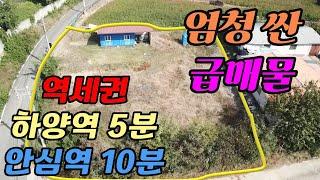 대구근교 황금전원주택지 안심역10분 하양역5분 주변시세대비 엄청 싼 급매물