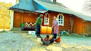 Life in the Carpathians: Grandma and Grandpa look after the farm and ferment cabbage