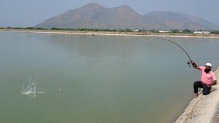 "SINGHARA FISHES AND BAAMFISH CATCHING :AMAZING SMALL HOOK FLOAT FISHING TECHNIQUES IN VILLAGES"