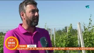 Vinarija "Kepul" pravi najbolje belo vino