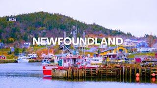 실존하는 요상한 이름의 캐나다 뉴펀들랜드 어촌마을 딜도 I Dildo, Newfounland, Canada