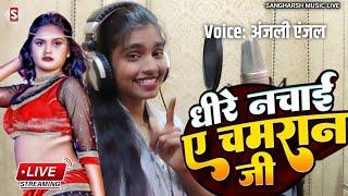 #anjali_anjal | धीरे नचाई ए चमरान जी | Dhire Nachai A Chamaran Ji | #live_video Chamar Song 2024