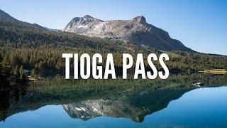 Driving Over Tioga Pass: Best Stops on Tioga Road in Yosemite National Park