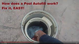 Swimming pool Auto filler/autofill overview, any brand including Pentair, Jandy, Hayward, Letro.