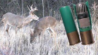 12 GAUGE SLUG DROPS DEER! 437.5 GRAIN BULLET