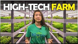 Modern High-tech Farm - Bowery Farming | Amazing Fully Automatic Vertical Farm