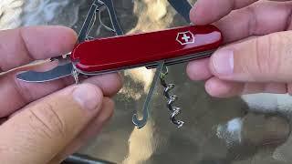 Victorinox Compact - A great EDC choice!