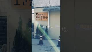 #조인폴리아#봄#식물초보#미니스툴#스탠드아웃