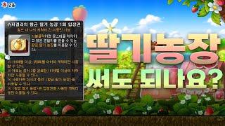 [메이플] 꿀팁 가득한 챌린저스 서버 3만점 육성기 / 챌섭 썬콜 육성기 #1