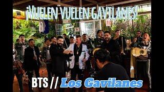 ¿QUE LES PARECIO? - Estrellas De Sinaloa & Mariachi Los Gavilanes - Los Gavilanes | (BTS)