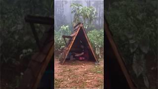 Make a shelter under the rain in the rainforest #bushcraft #survivalskills #camping #camping  #build