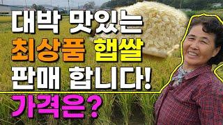 정말 맛있는 최상품 햅쌀 저렴하게 판매합니다 산지직송 쌀판매 쌀10kg 쌀20kg 여주쌀 이천쌀 철원쌀 강화쌀 보은쌀 삼광쌀