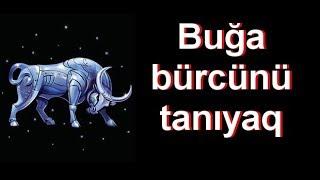 Buğa bürcünü tanıyaq!