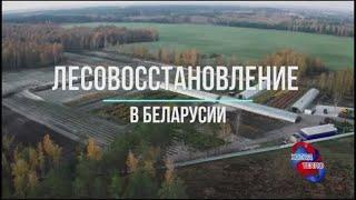 Сушка шишек. Камера с возможностью половинной загрузки. Реализация сохранения всхожести семян.