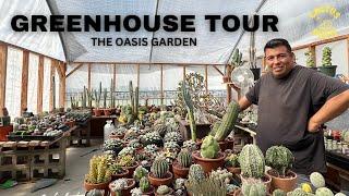 Backyard collectors Succulent garden oasis. @Theoasisgardens