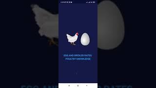 Egg Market High Updates of India