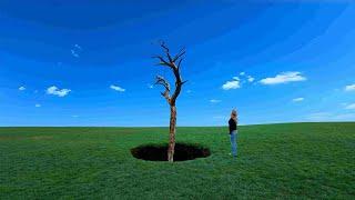 Green Grass Grows All Around - Harke (Official Music Video)