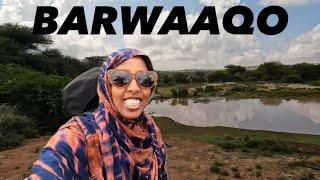 RAIN WATER HARVESTING at the farm | HARGEISA SOMALILAND 2024