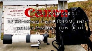 Canon R5 mark II and 200-800mm lens at Malibu Lagoon in poor cloudy light