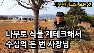 땅 없이 나무 심어 돈 버는 방법 전격 공개 (나무시장 양태 2부)