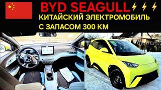 BYD SEAGULL (ЧАЙКА). КИТАЙСКИЙ АВТОПРОМ В БЕЛАРУСИ.